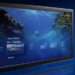 Microsoft se une al servicio de TV online con Windows TV