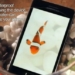 Spot del Samsung Galaxy S II para preparar su estreno