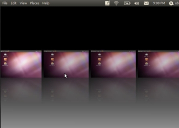 Ubuntu 11.04 Natty Narwhal ya está disponible