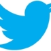 Fría acogida a la actualización oficial de Twitter en Ipad