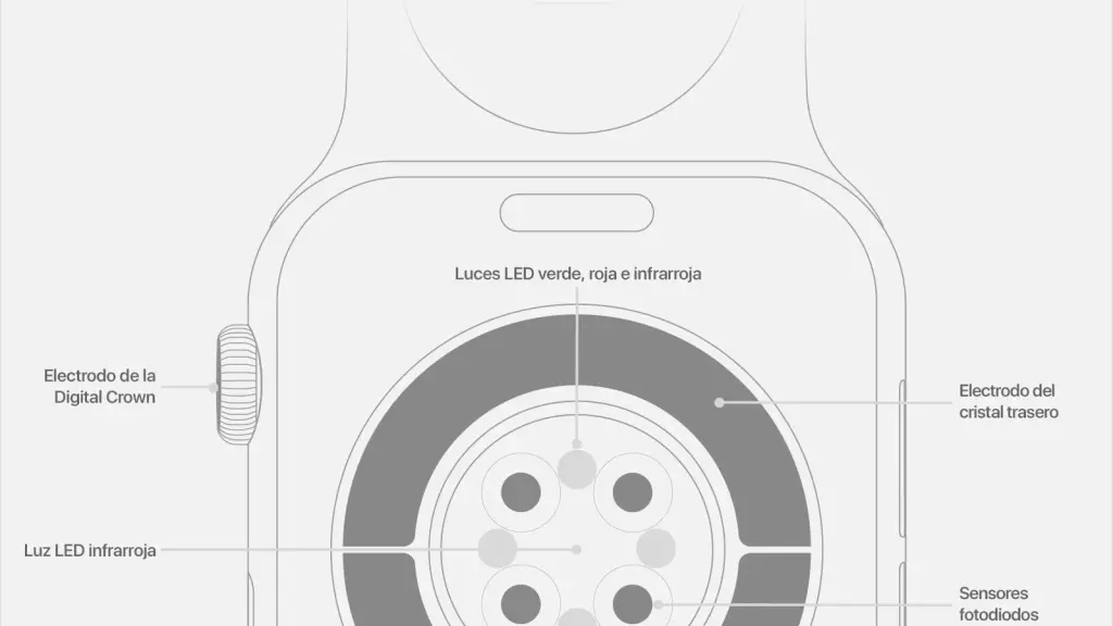 Detalle relacionado con Apple probaría la monitorización continua del pulso en los próximos Apple Watch