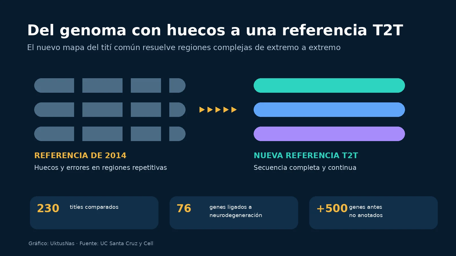 Comparación gráfica entre el genoma de referencia de 2014 con huecos y la nueva secuencia T2T completa