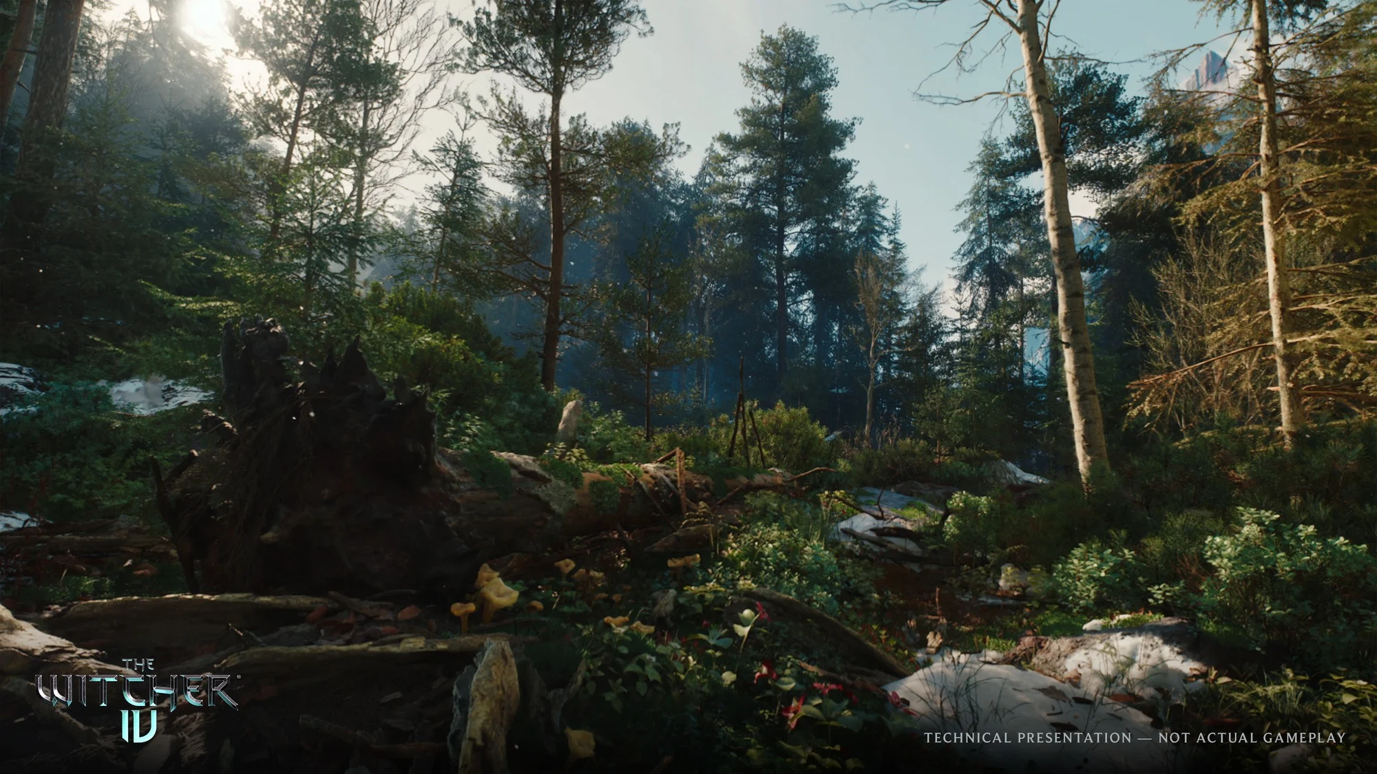 Imagen complementaria relacionada con Las acciones de CD Projekt caen tras fijar 2028 como fecha objetivo para ’The Witcher 4’