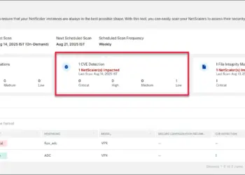 Imagen oficial relacionada con El INCIBE-CERT alerta de una vulnerabilidad Citrix NetScaler crítica y otra alta