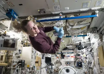 Imagen oficial relacionada con Human-Related Microbes May Survive Moon’s South Pole, NASA Finds