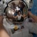 Jessica Meir prepara un traje espacial en la esclusa Quest de la Estación Espacial Internacional