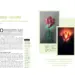 Imagen oficial relacionada con Just released: Raspberry Pi Book of Making 2027