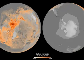 Imagen oficial relacionada con Wildfires, drought and extreme heat, 2026