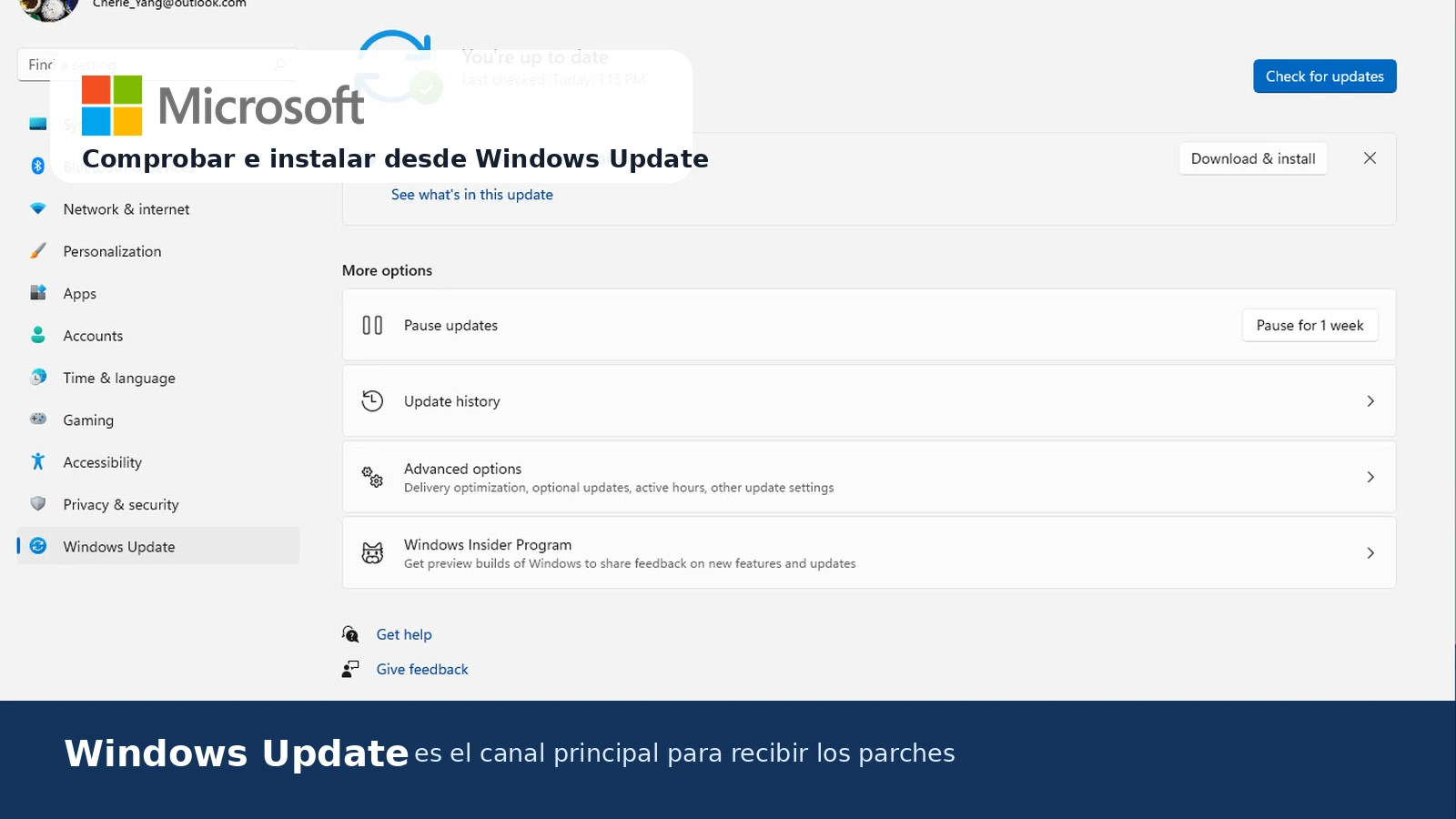 Pantalla de Windows Update para comprobar e instalar los parches de seguridad