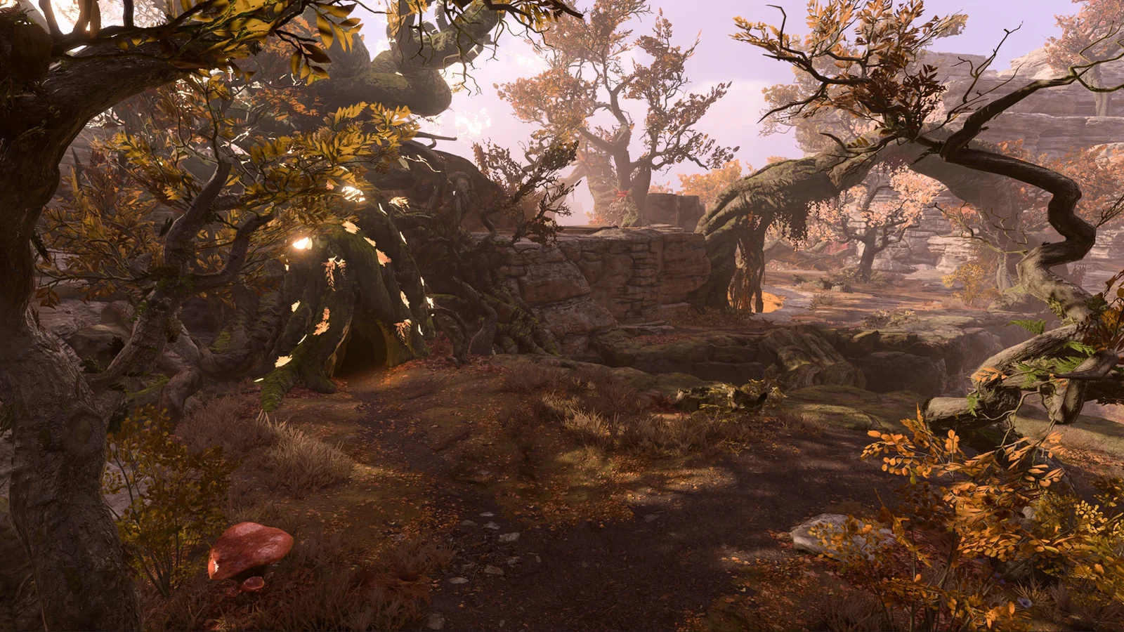 Bosque rocoso de Chionthar Wilds en Act Two Expansion para Baldur’s Gate 3