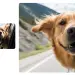 Ejemplo de edición de imágenes con IA a partir de una fotografía