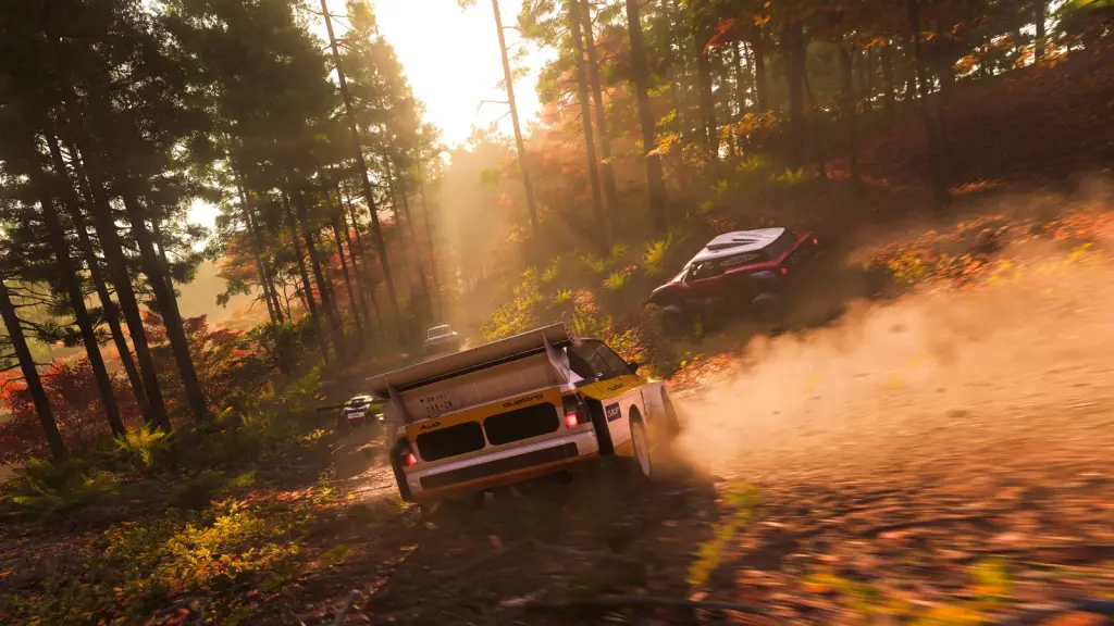 Coches de rally en un bosque